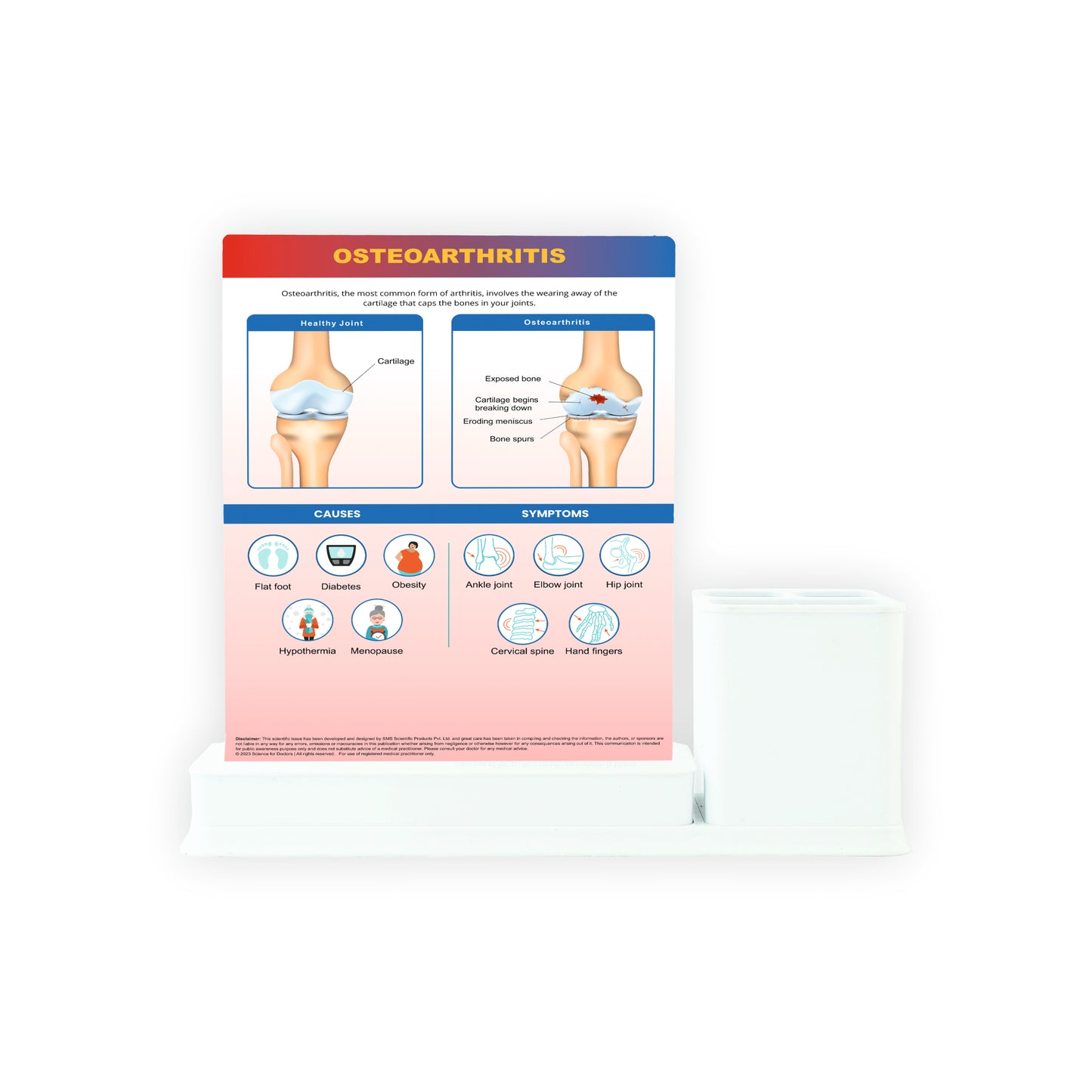 STAGE OF OSTEOARTHRITIS: 1 Slides Write & Wipe with Stationary Stand