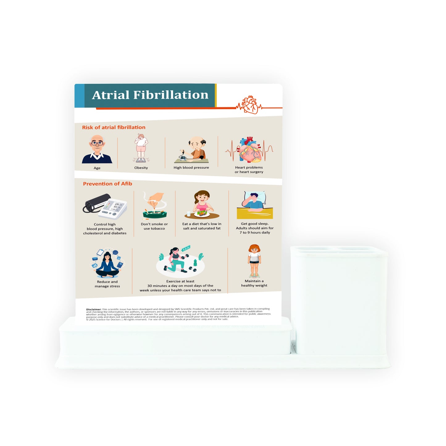 Atrial Fibrillation: 1 Slides Write & Wipe with Stationary Stand