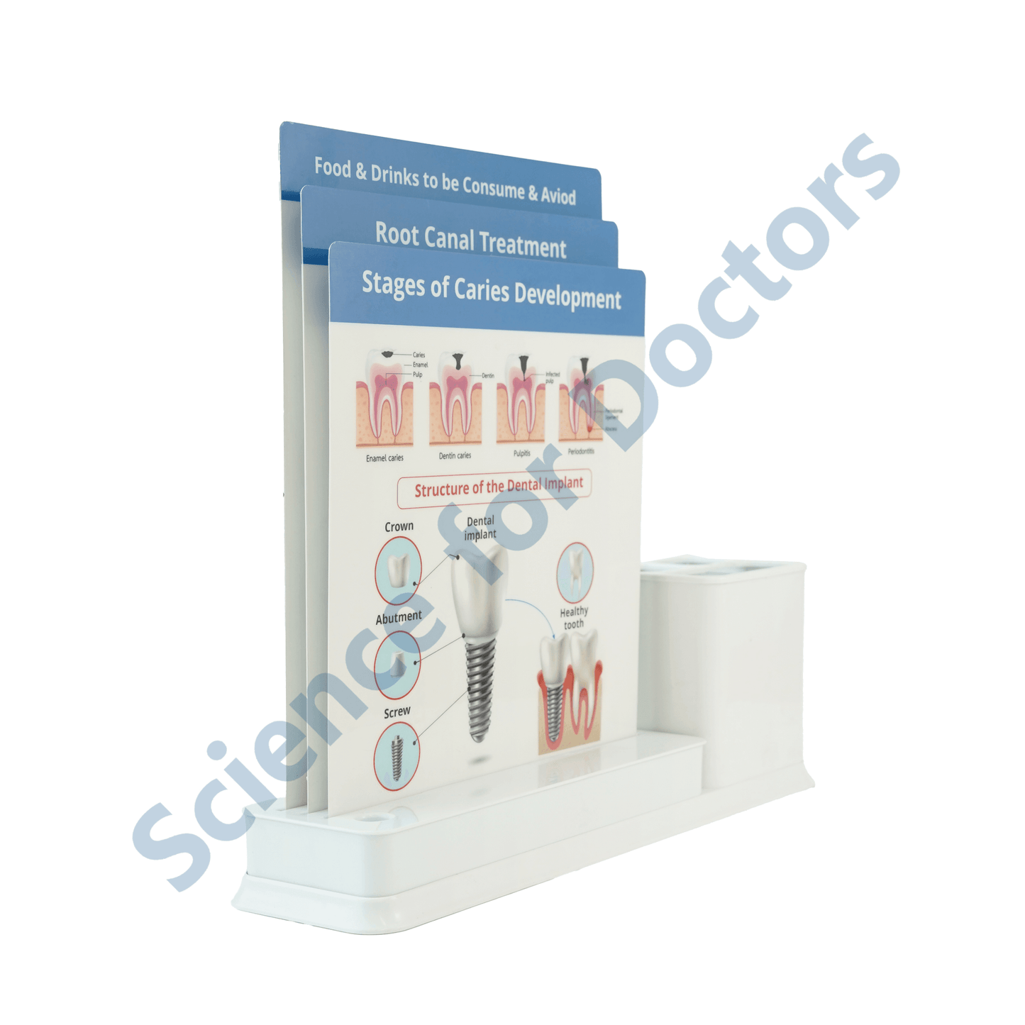 Root Canal Treatment: 3 Slides Write & Wipe with Stationary Stand