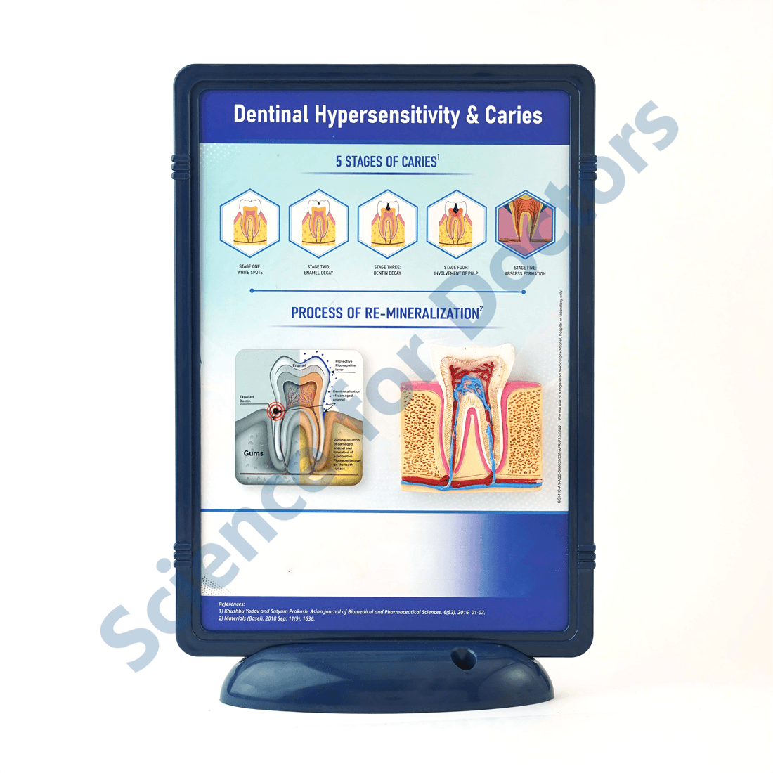 Dental Hypersensitivity and Caries: 3D Therapy Frame