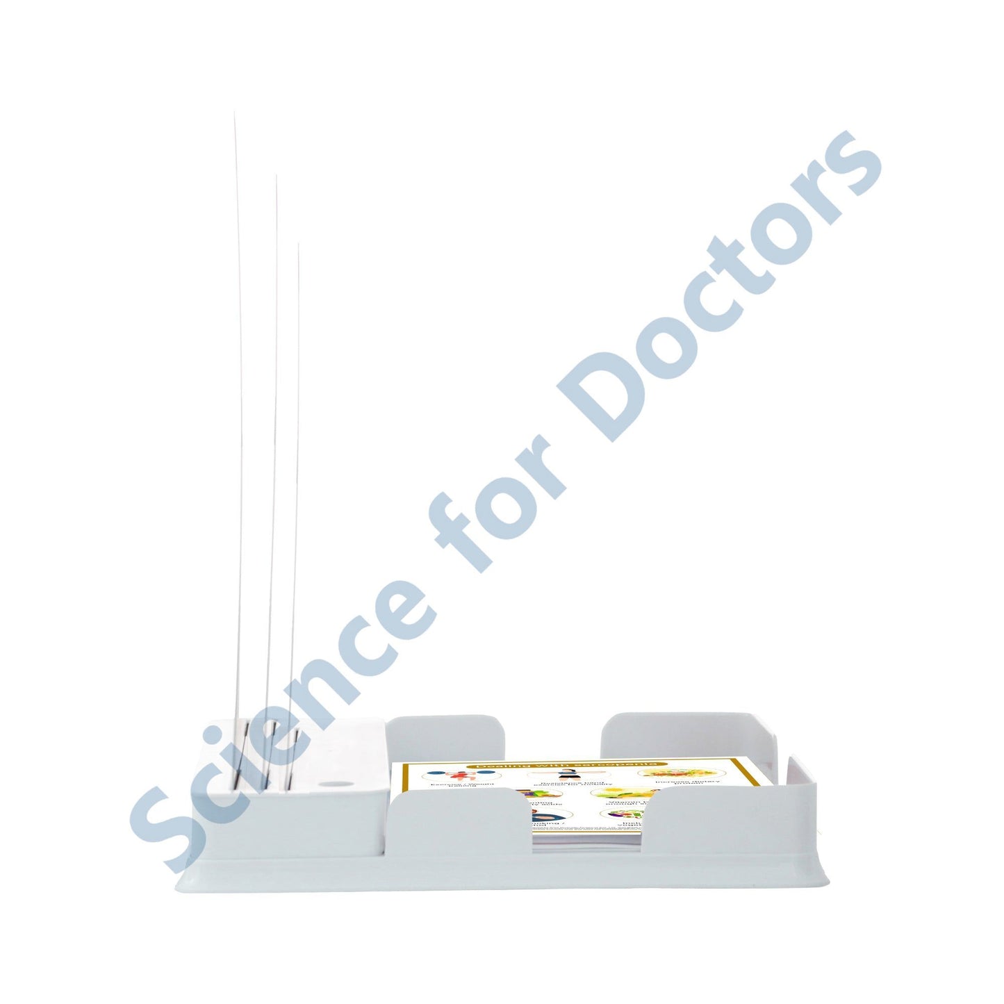 Muscle Mass Loss: 3 Slides Patient Leaflet Tray