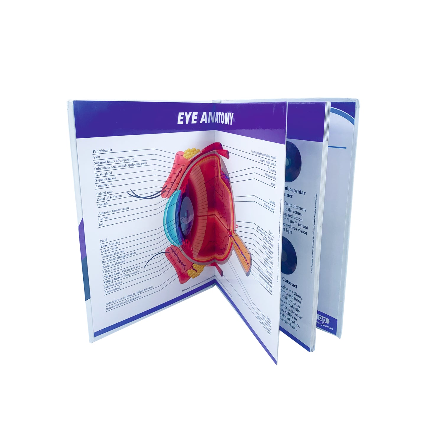 Visual Guide Book Write & Wipe - EYE CARE
