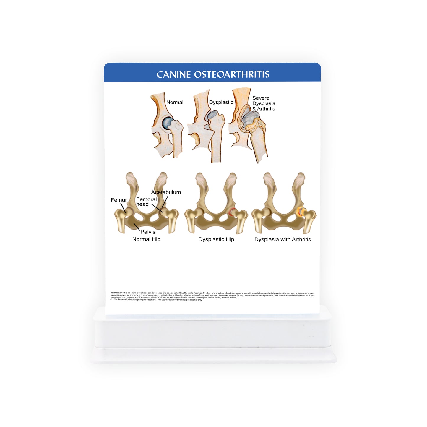 Canine Osteoarthritis: 1 Slide on stand