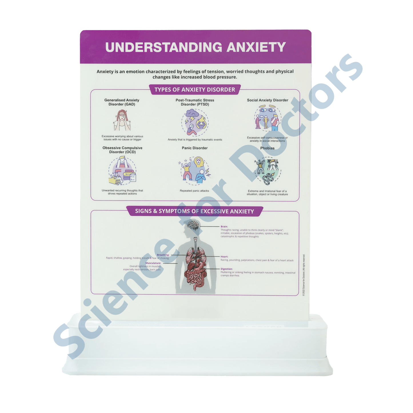 Understanding Anxiety: 1 Slide on stand