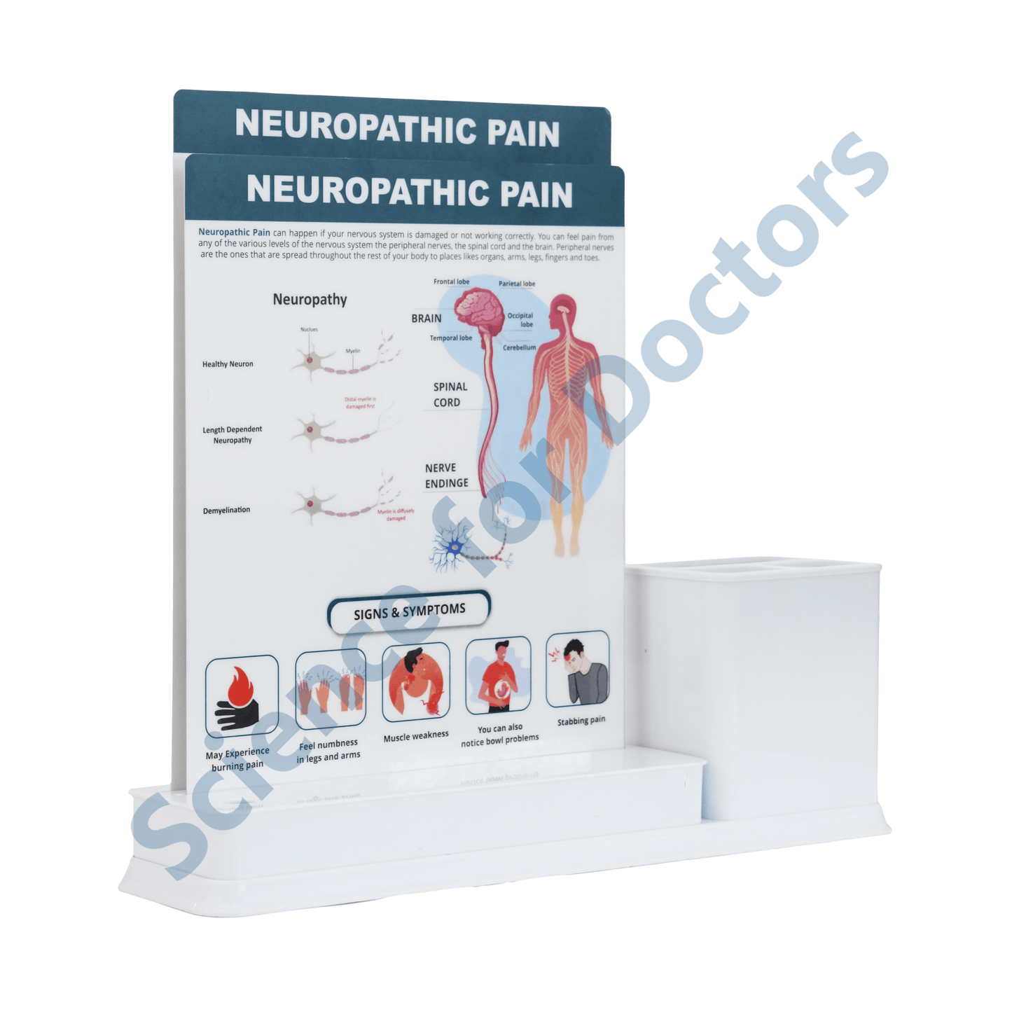 Neuropathic Pain: 2 slide on stand with Stationary stand