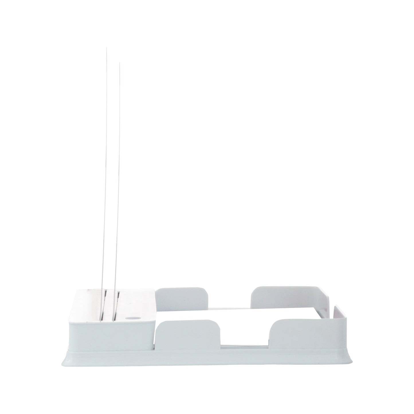 Atrial Fibrillation: 2 Slides With Tray