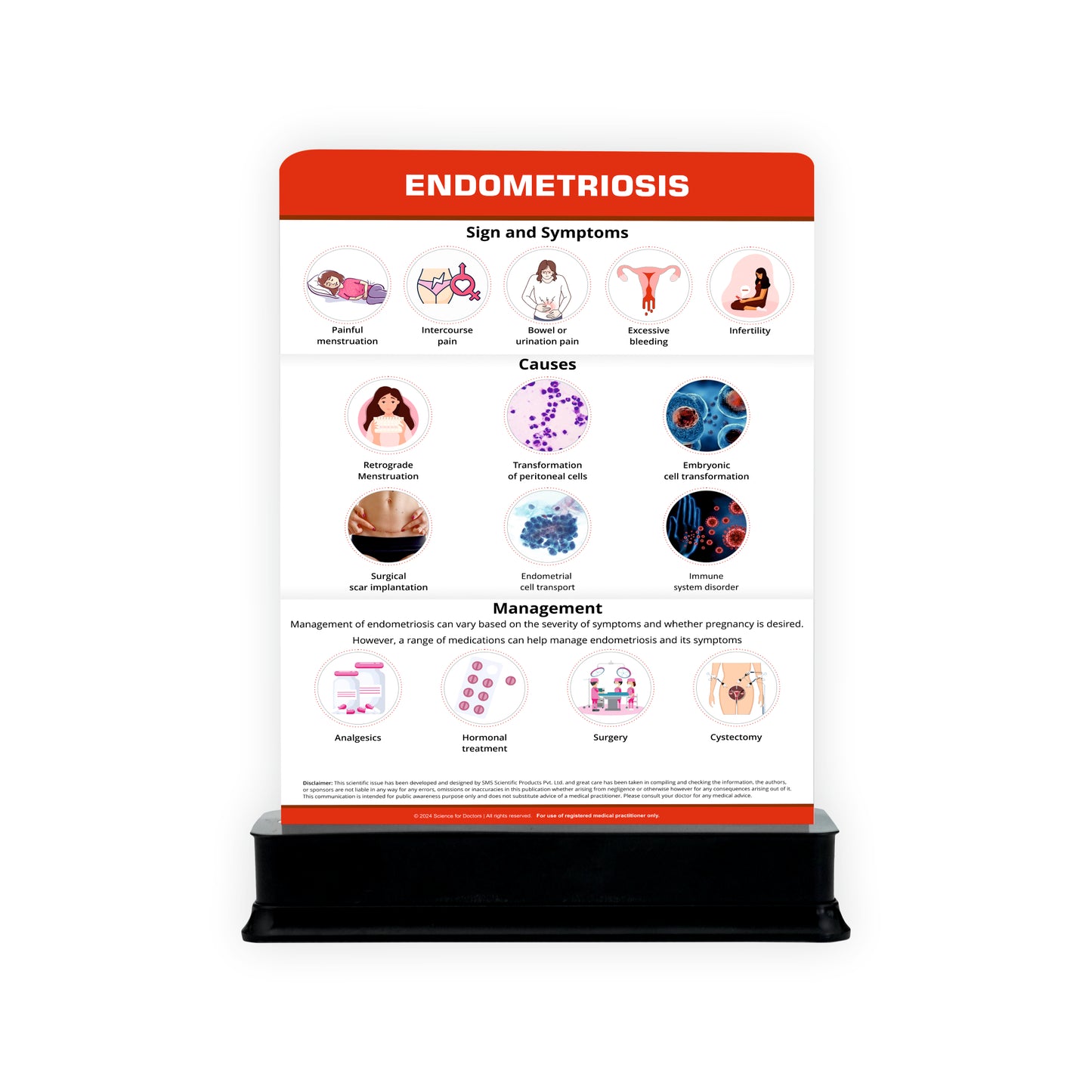 Endometriosis: 1 Slide on stand