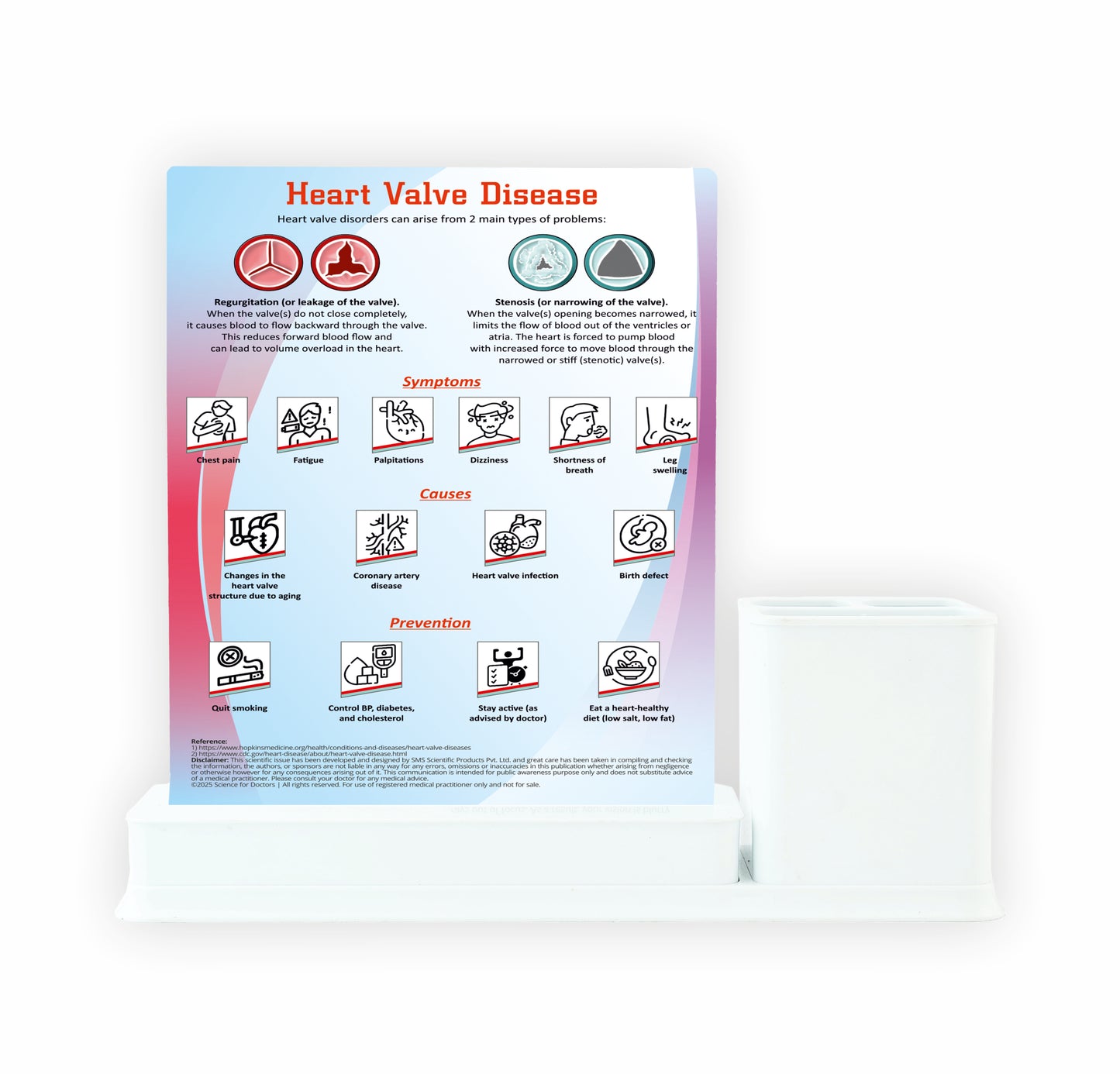 Heart Valve Disease: 1 Slide Write & Wipe With Anatomical model on Stationary Stand