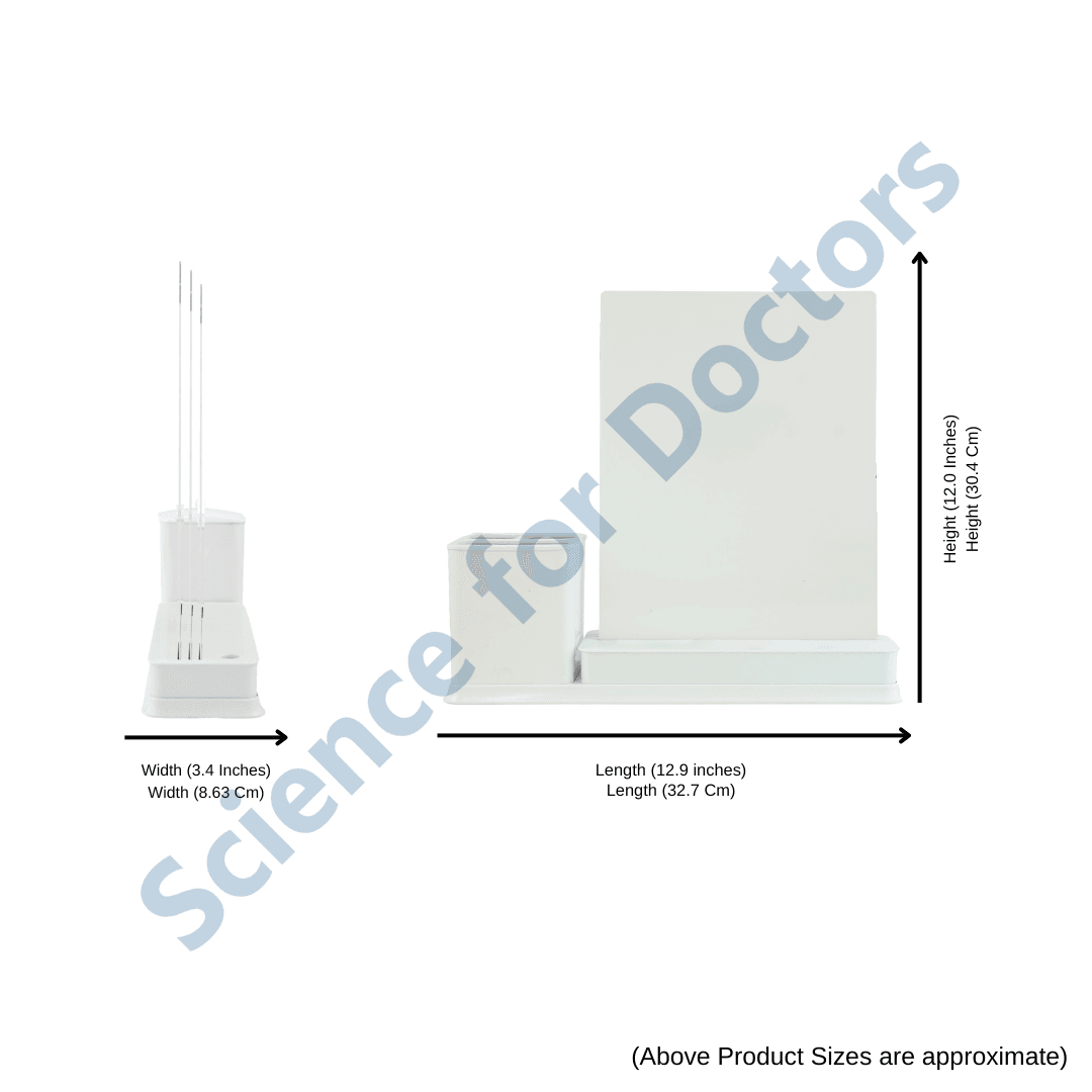 Muscle Mass Loss: 3 Slides Write & Wipe with Stationary Stand