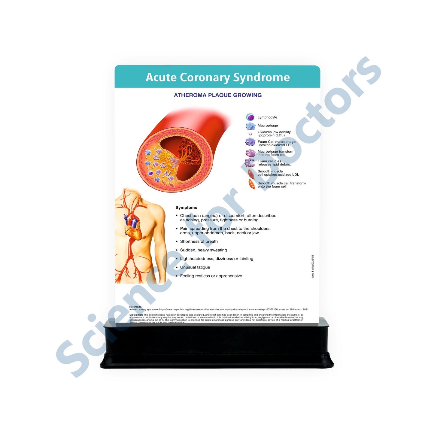 Coronary Artery Disease: 2 Slides with Stand