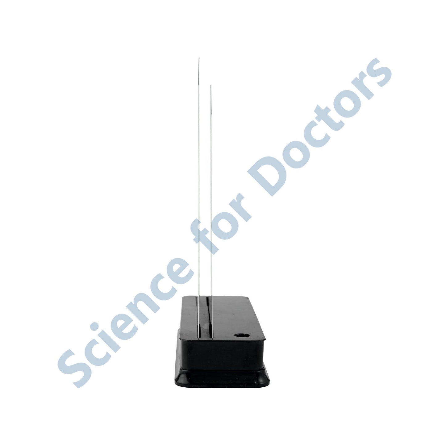 Anatomy of Eye - 2 Slides With Stand