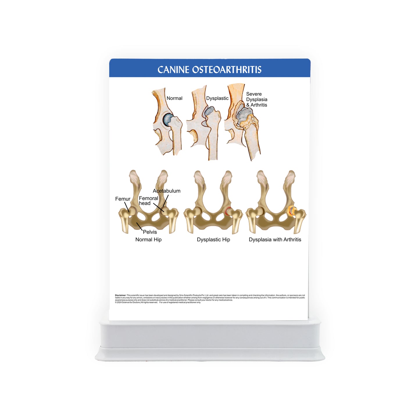 Canine Osteoarthritis: 1 Slide with Patient Leaflet Tray