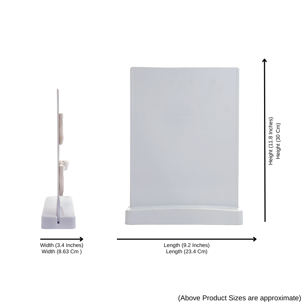 Stages of root canal treatment: 3D Therapy Board On Stand