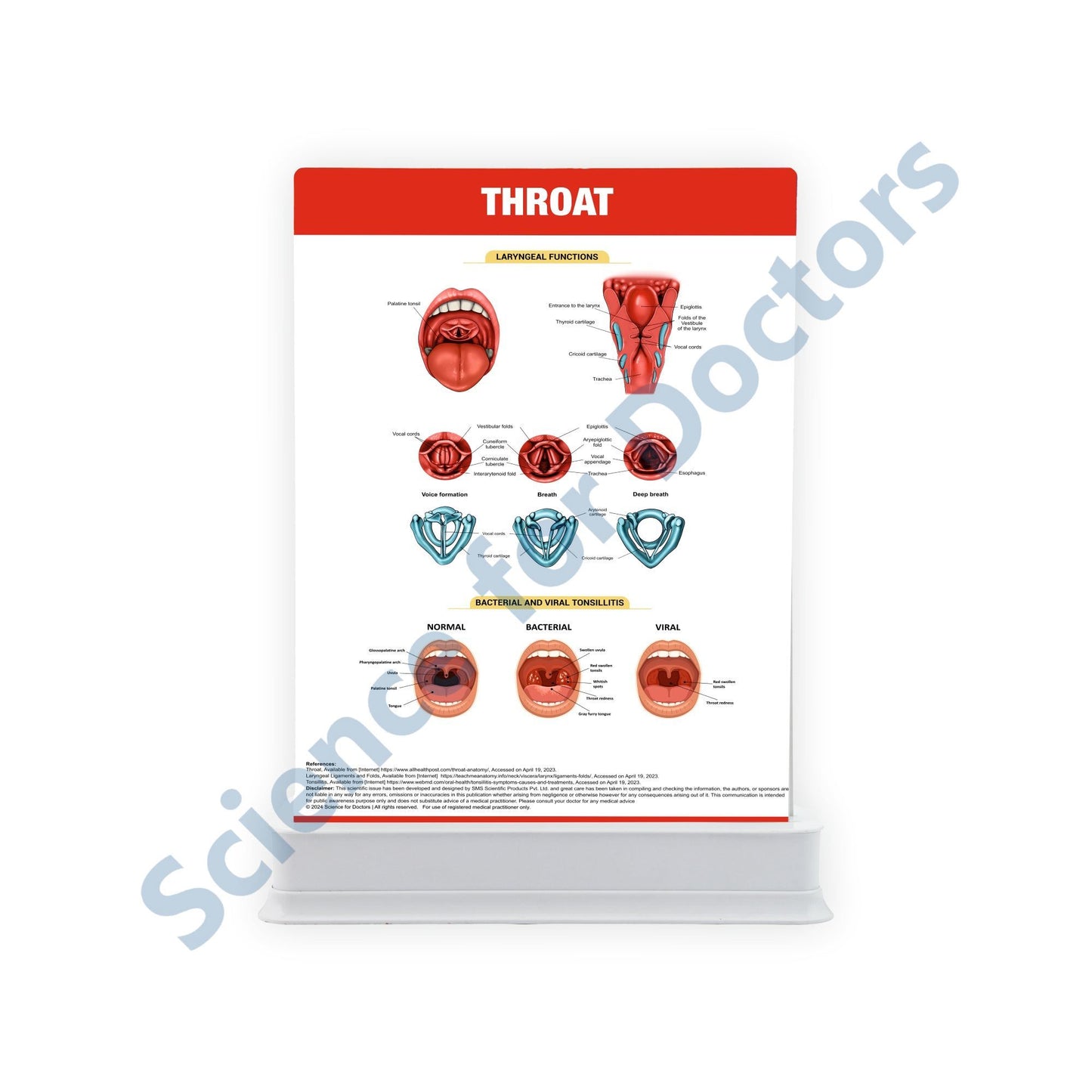 EAR - 3 Slides With Tray