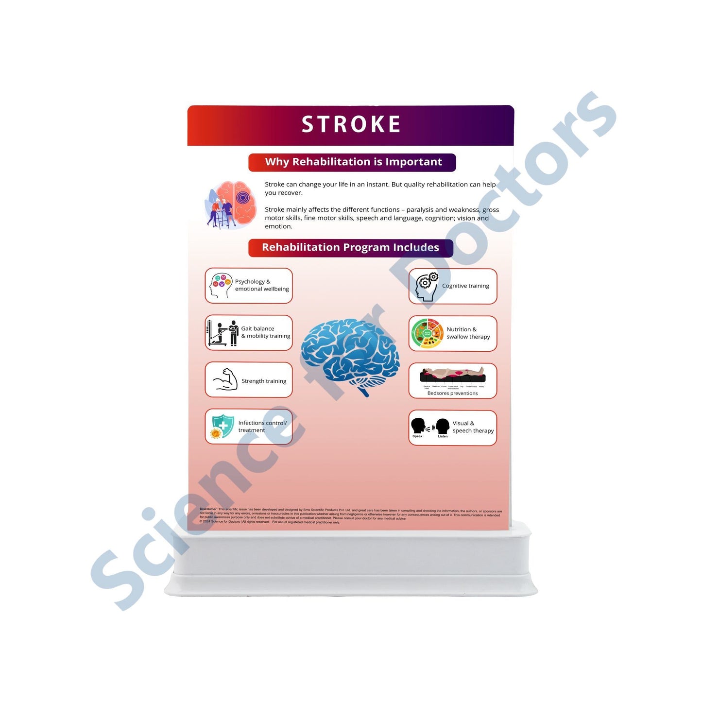 Stroke: 3 Slides Patient Leaflet Tray