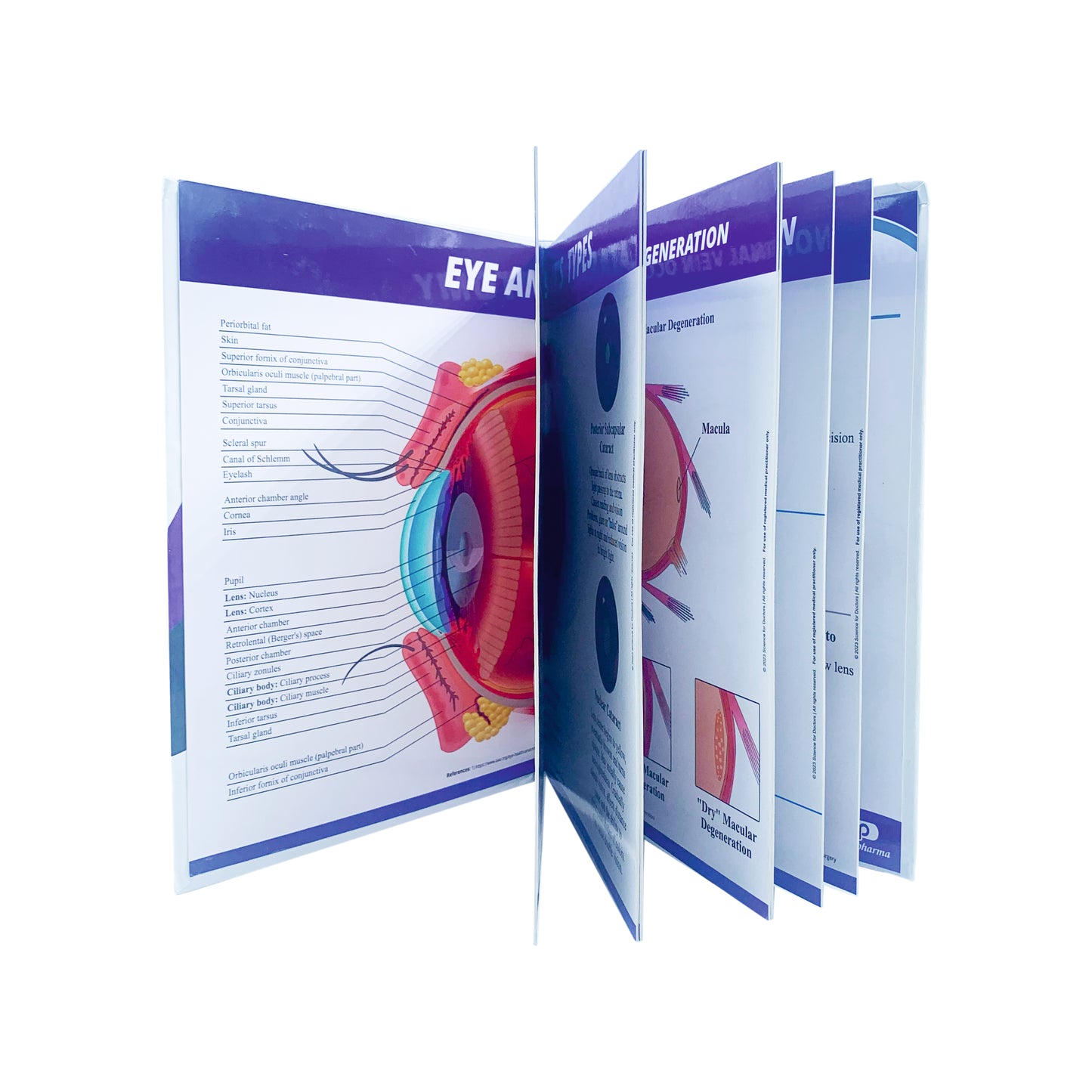 Visual Guide Book Write & Wipe - EYE CARE