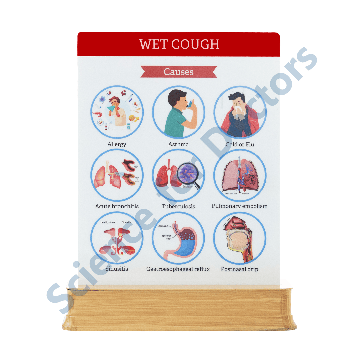 Wet Cough: 1 Slide on stand