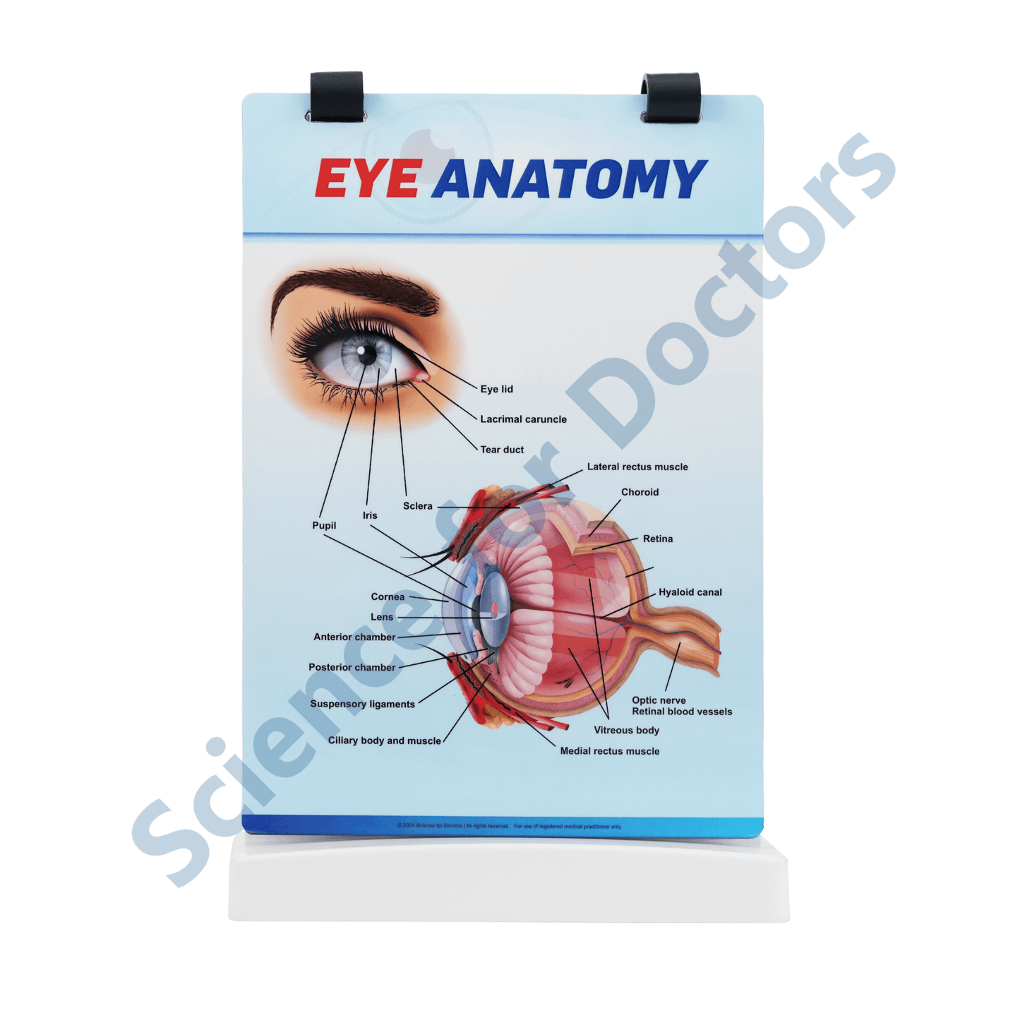 Glaucoma: A4 Flip Wipe