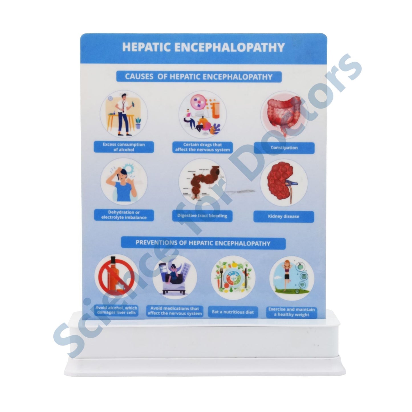 Hepatic Encephalopathy: 1 Slide on stand