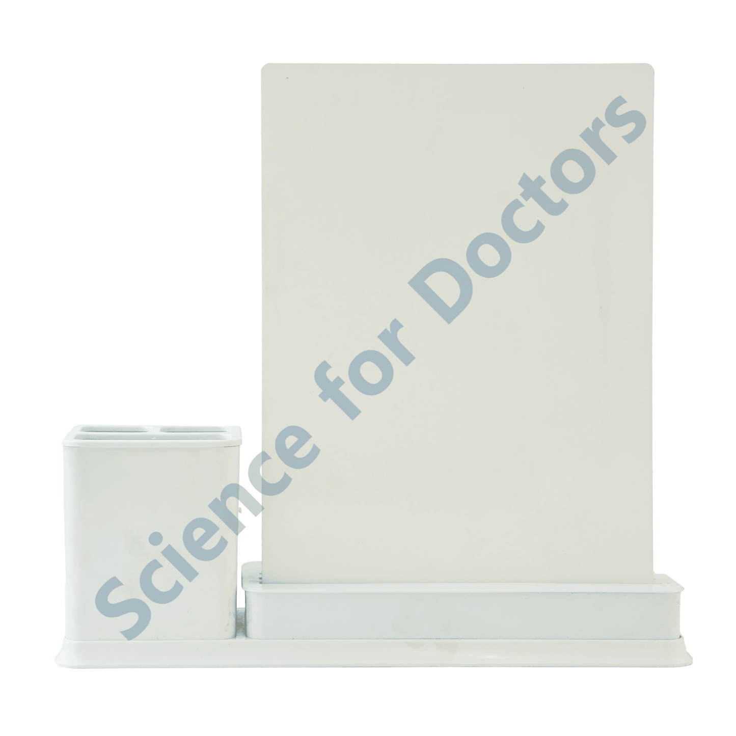 Stroke : 1 Slide Write and wipe with anatomical model on stationery stand