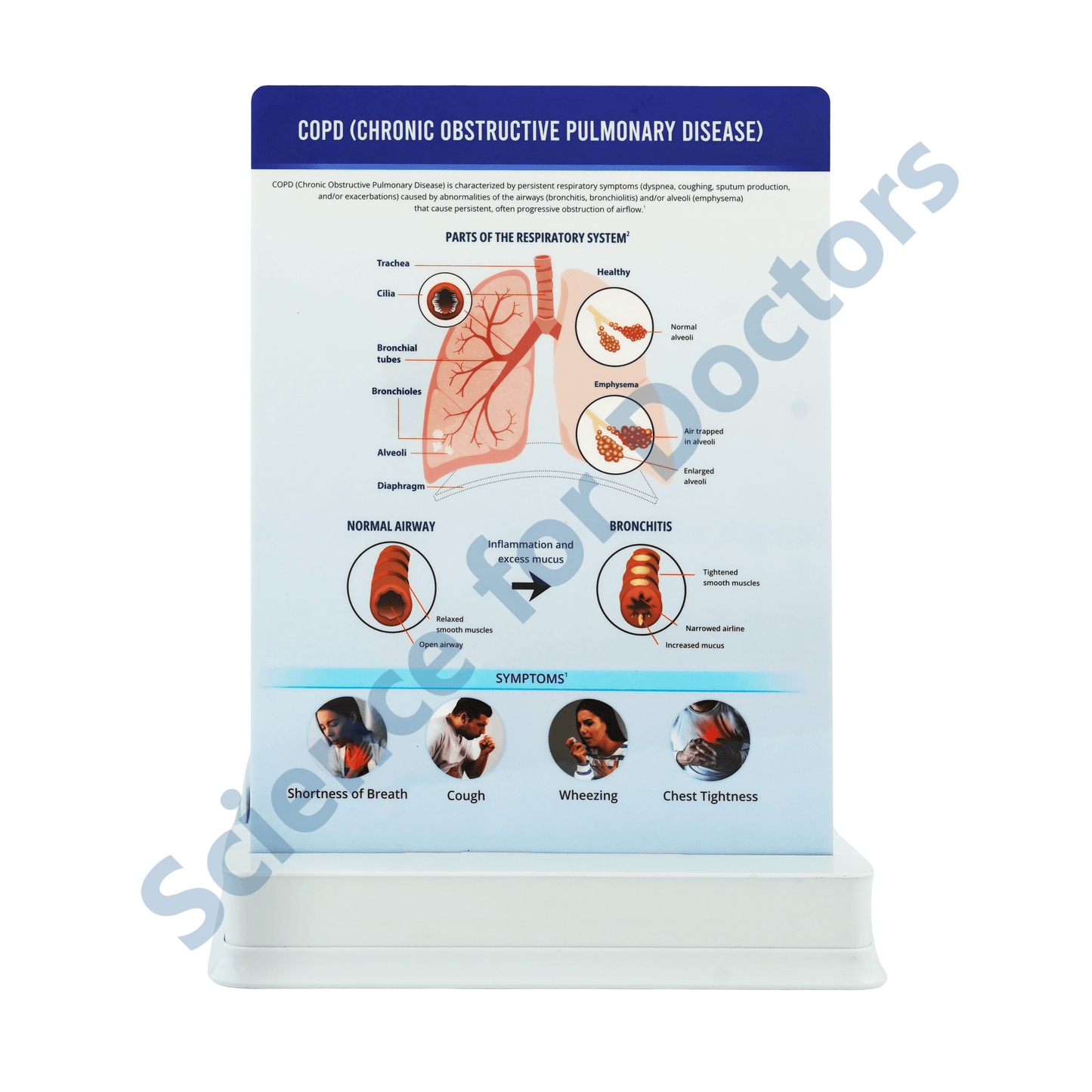 COPD: 1 Slide with Patient Leaflet Tray