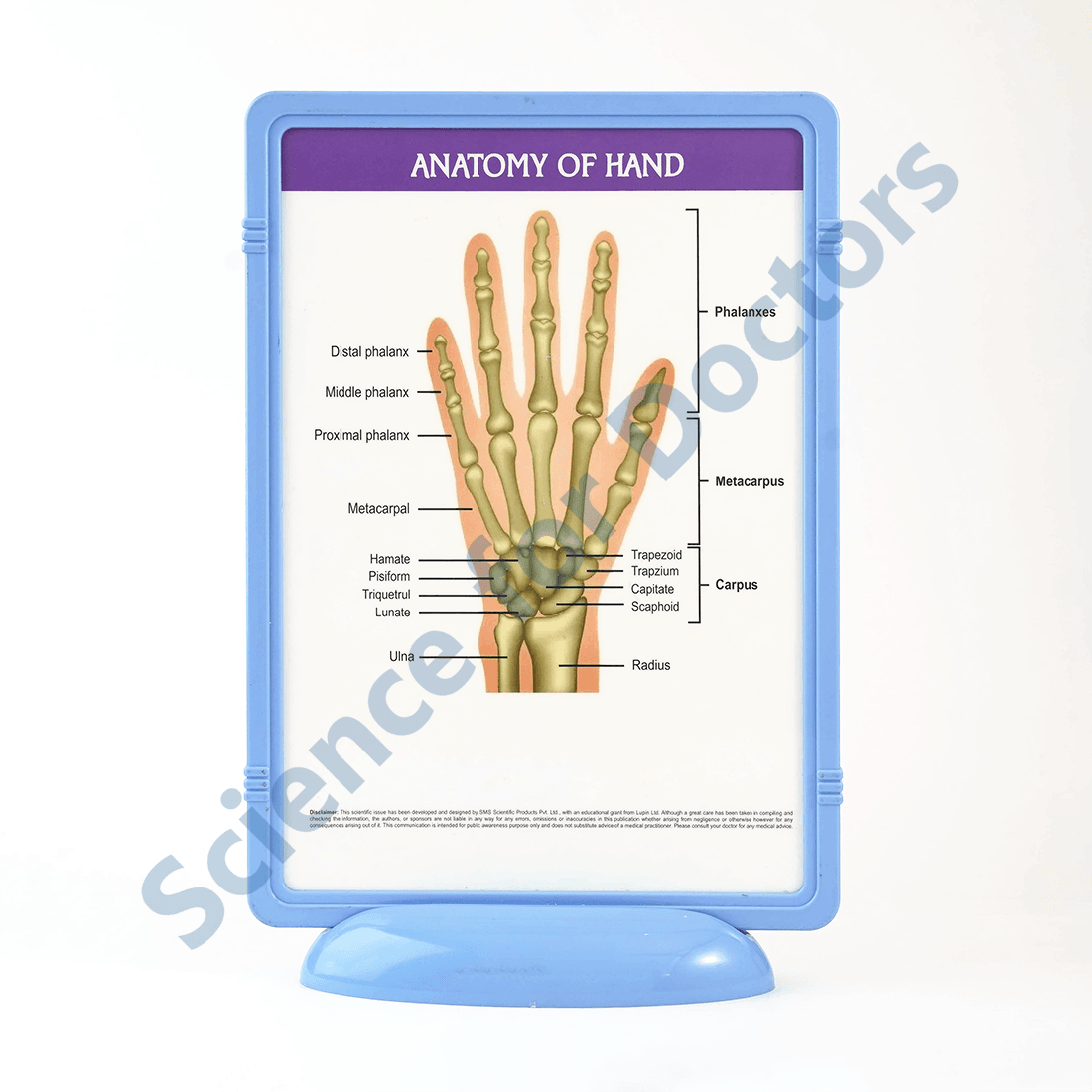 Rheumatoid Arthritis Hand: The Frame Write and Wipe