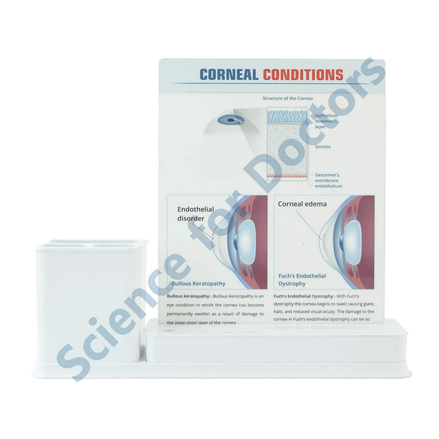 Corneal Conditions: 1 Slides Write & Wipe with Stationary Stand