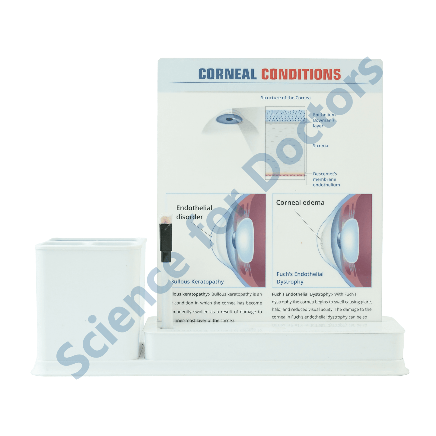 Corneal Conditions: 1 Slides Write & Wipe with Stationary Stand