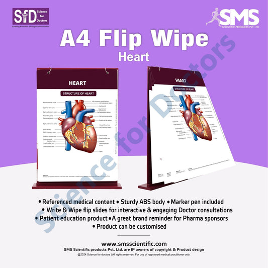 Heart: A4 Flip Wipe