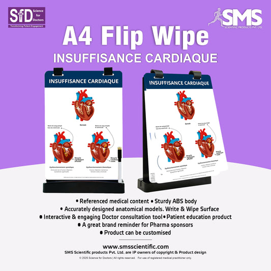 Insuffisance Cardiaque: A4 Flip Wipe