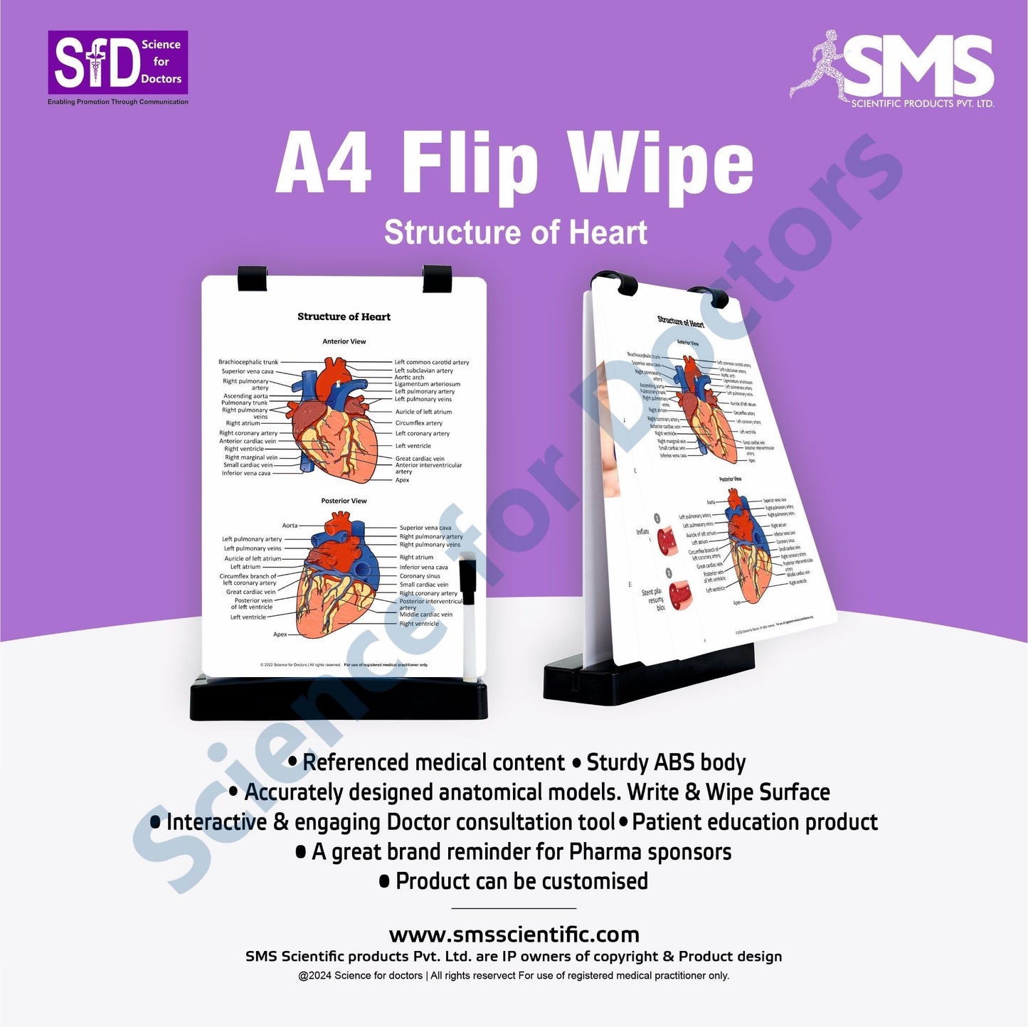 Structure of Heart: A4 Flip Wipe