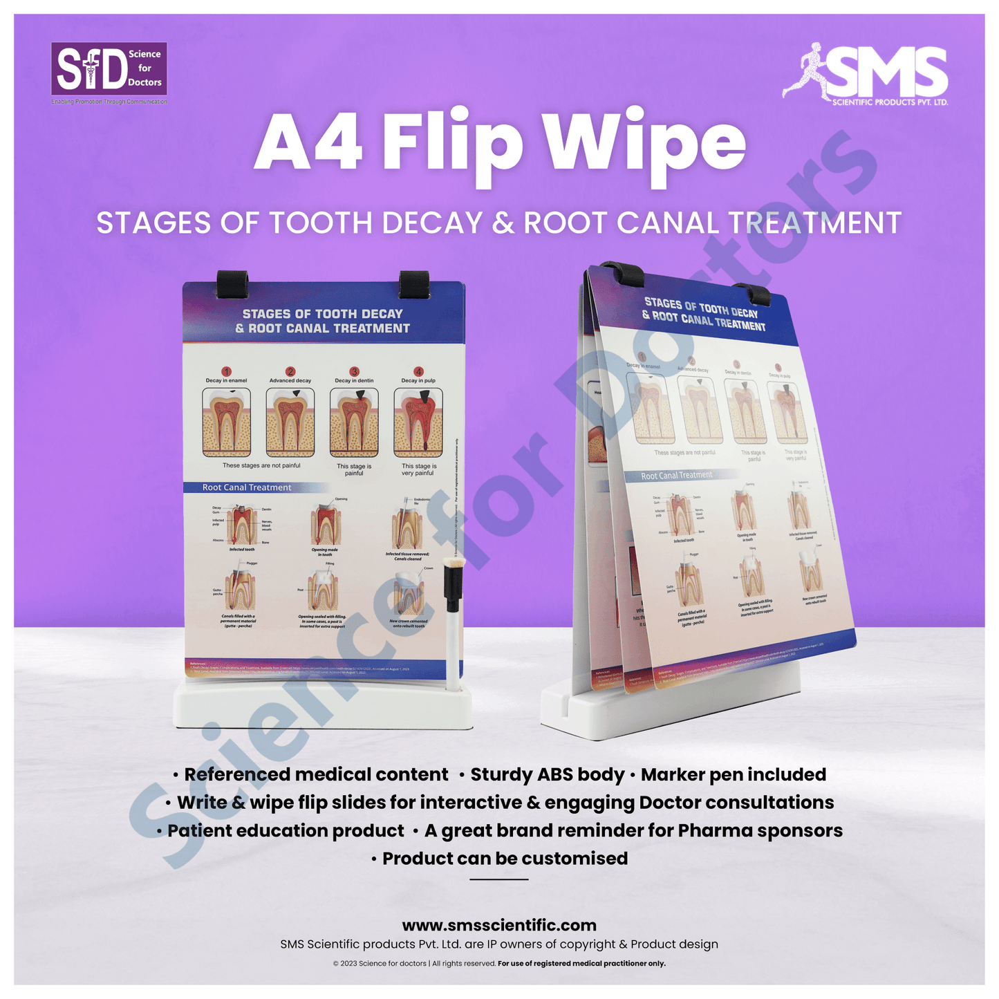 Stages of tooth decay: A4 Flip Wipe