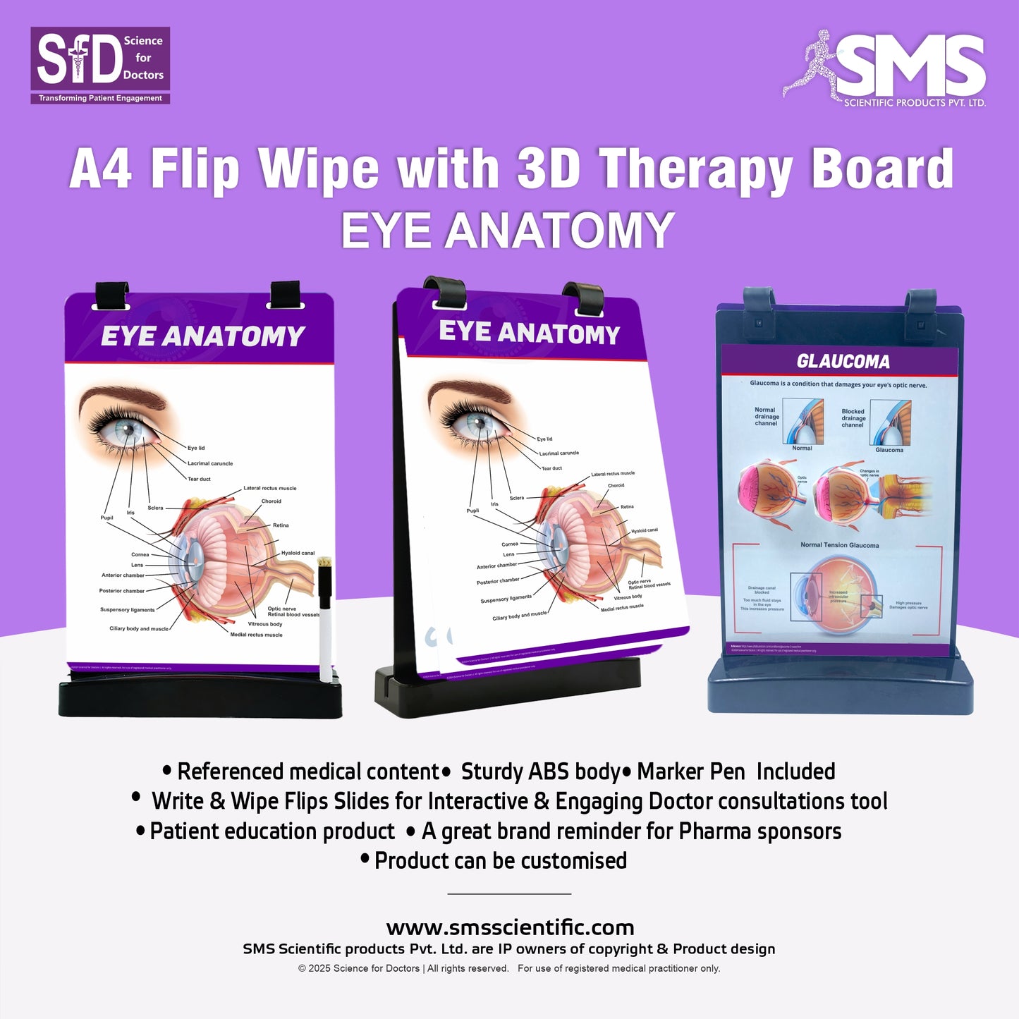A4 Flip Wipe with 3D Therapy Board - Eye Anatomy