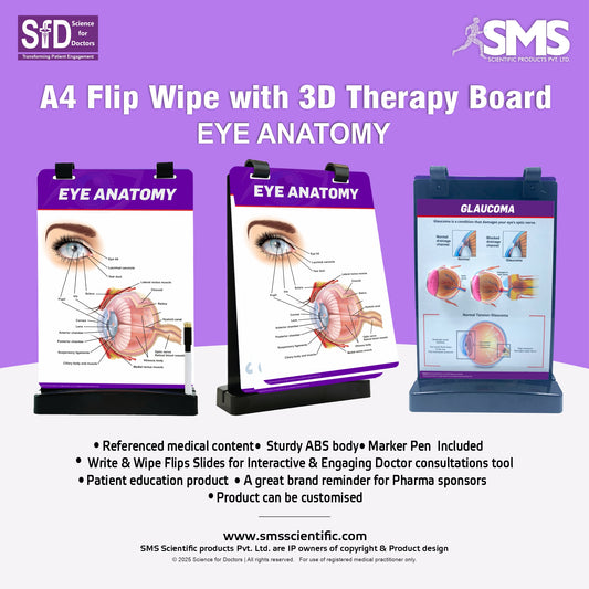 A4 Flip Wipe with 3D Therapy Board - Eye Anatomy