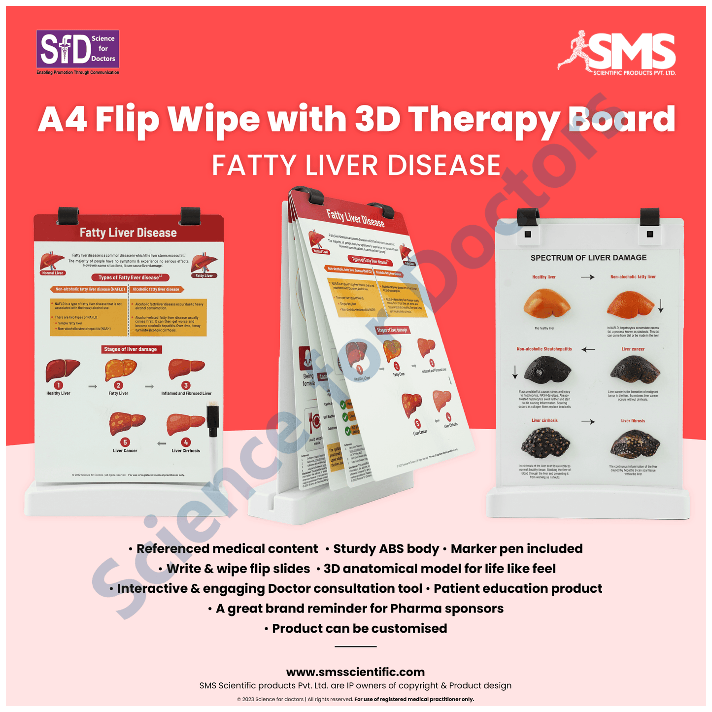 Fatty Liver Disease: A4 Flip Wipe with 3D Therapy Board