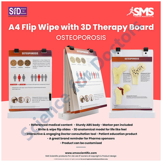 Osteoporosis: A4 Flip Wipe with 3D Therapy Board