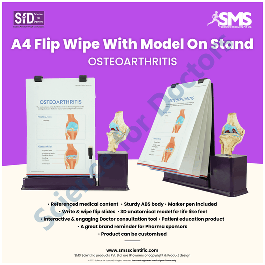 Osteoarthritis: A4 Flip Wipe With Anatomical Model