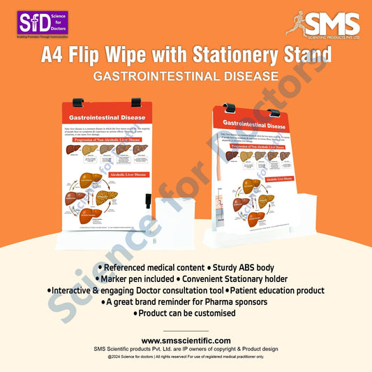 Gastrointestinal Disease: A4 Flip Wipe With Stationery Stand