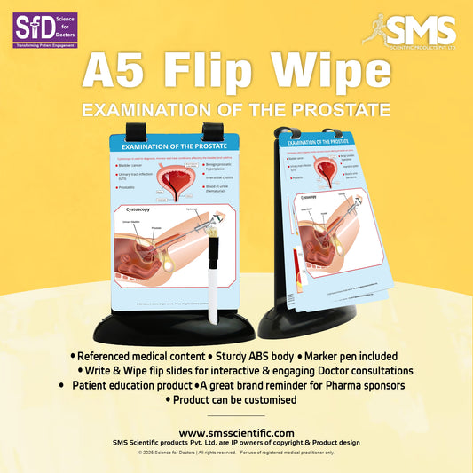Examination of The Prostate: A5 Flip Wipe