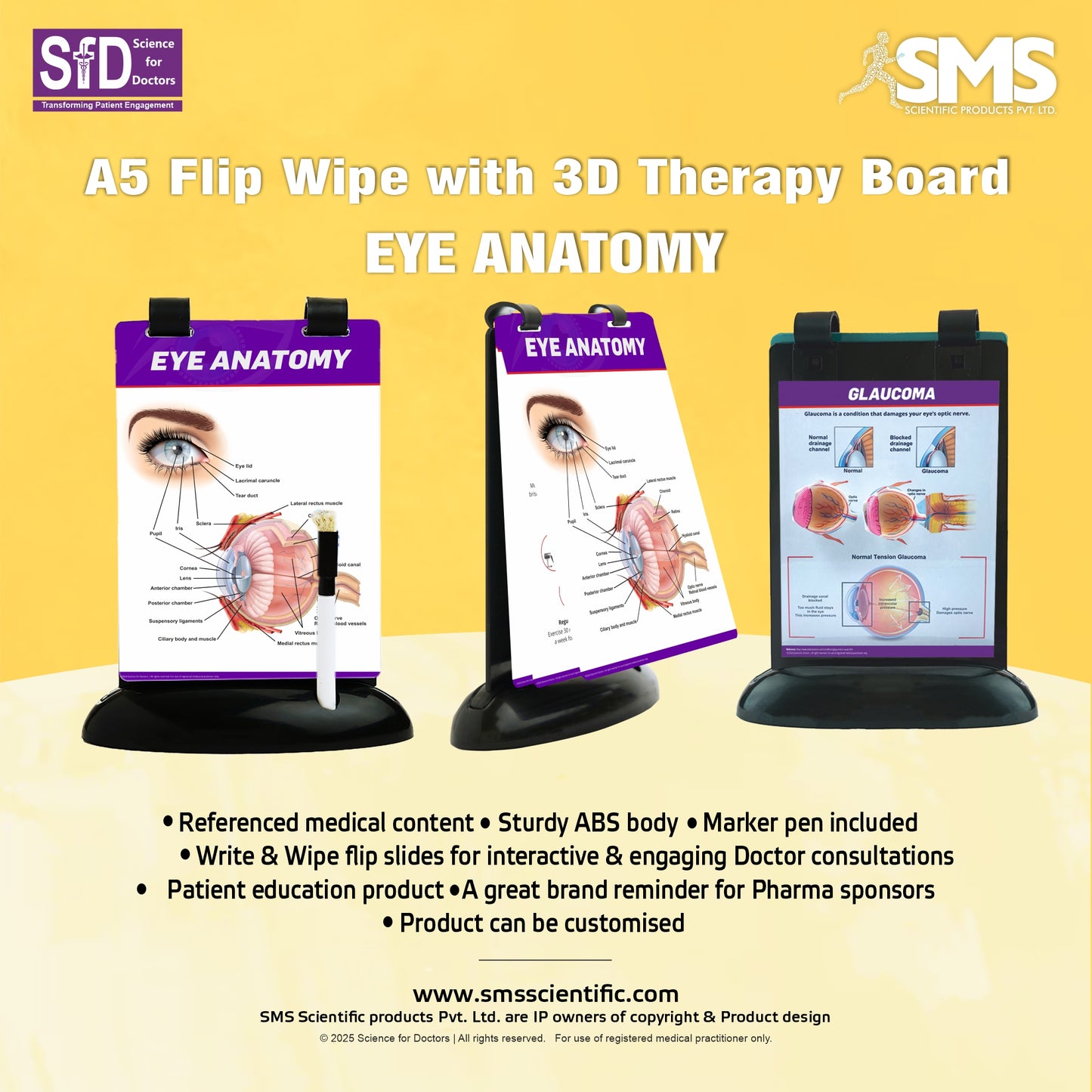 A5 Flip Wipe with 3D Therapy Board   - Eye Anatomy