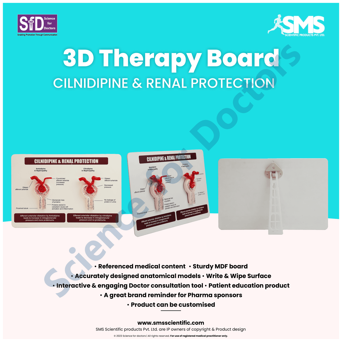 Cilnidipine & Renal Protection: 3d therapy Board