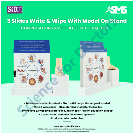 Diabetes Complication : 3 Slide Write and Wipe with Anatomical Model on Stand