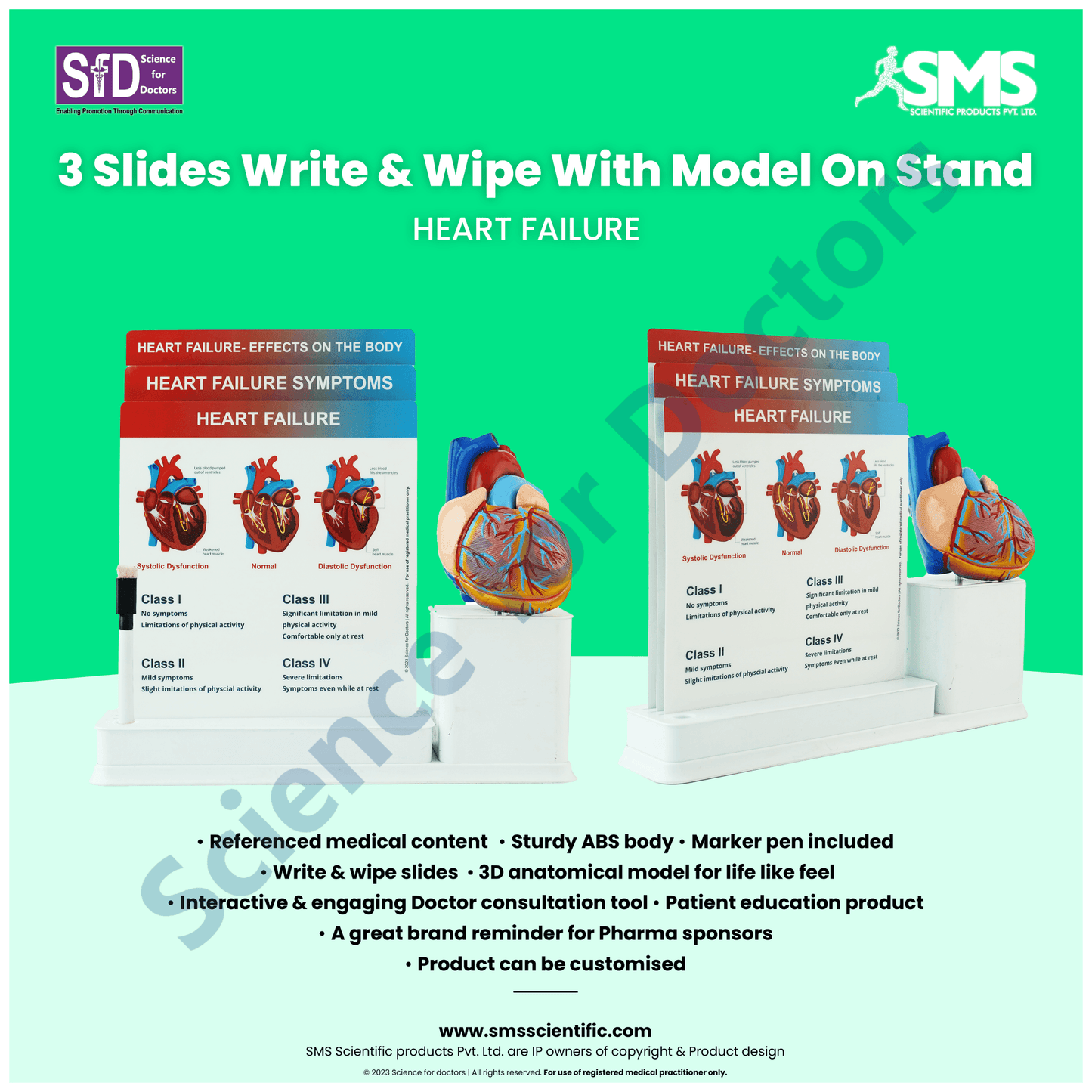 Heart Failure: 3 Slide Write and Wipe with Anatomical Model on Stand