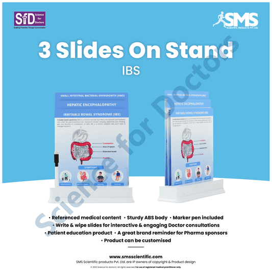 IBS (Irritable bowel syndrome): 3 slide on stand