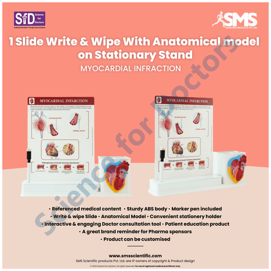 Myocardial Infraction : 1 Slide Write and wipe with anatomical model on stationery stand