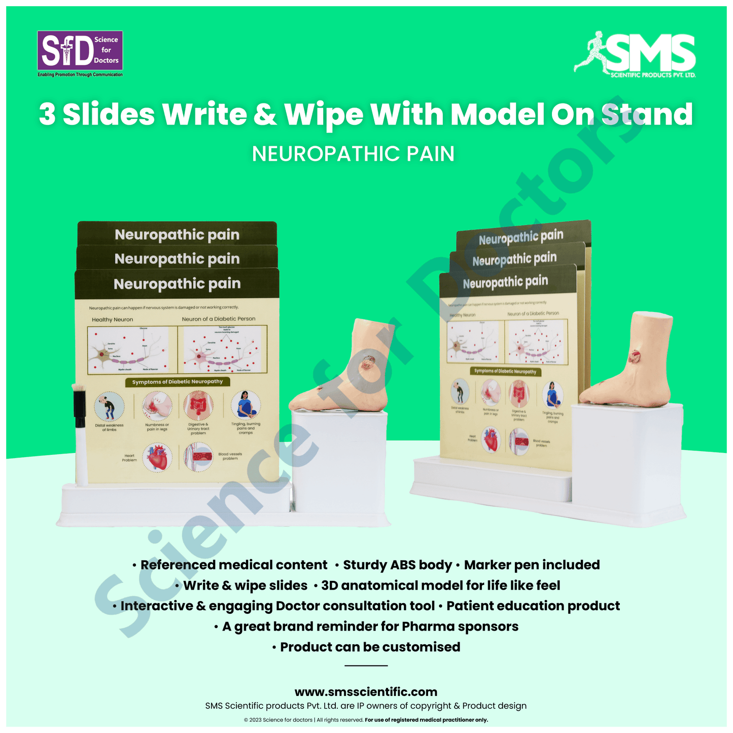 Neuropathic Pain : 3 Slide Write and Wipe with Anatomical Model on Stand