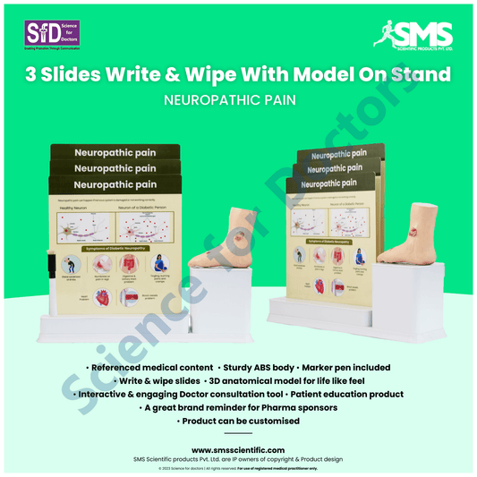 Neuropathic Pain : 3 Slide Write and Wipe with Anatomical Model on Stand