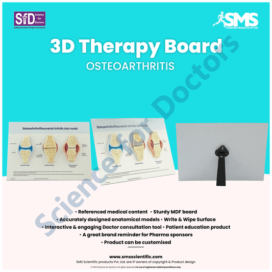 Osteoarthritis: 3d therapy Board