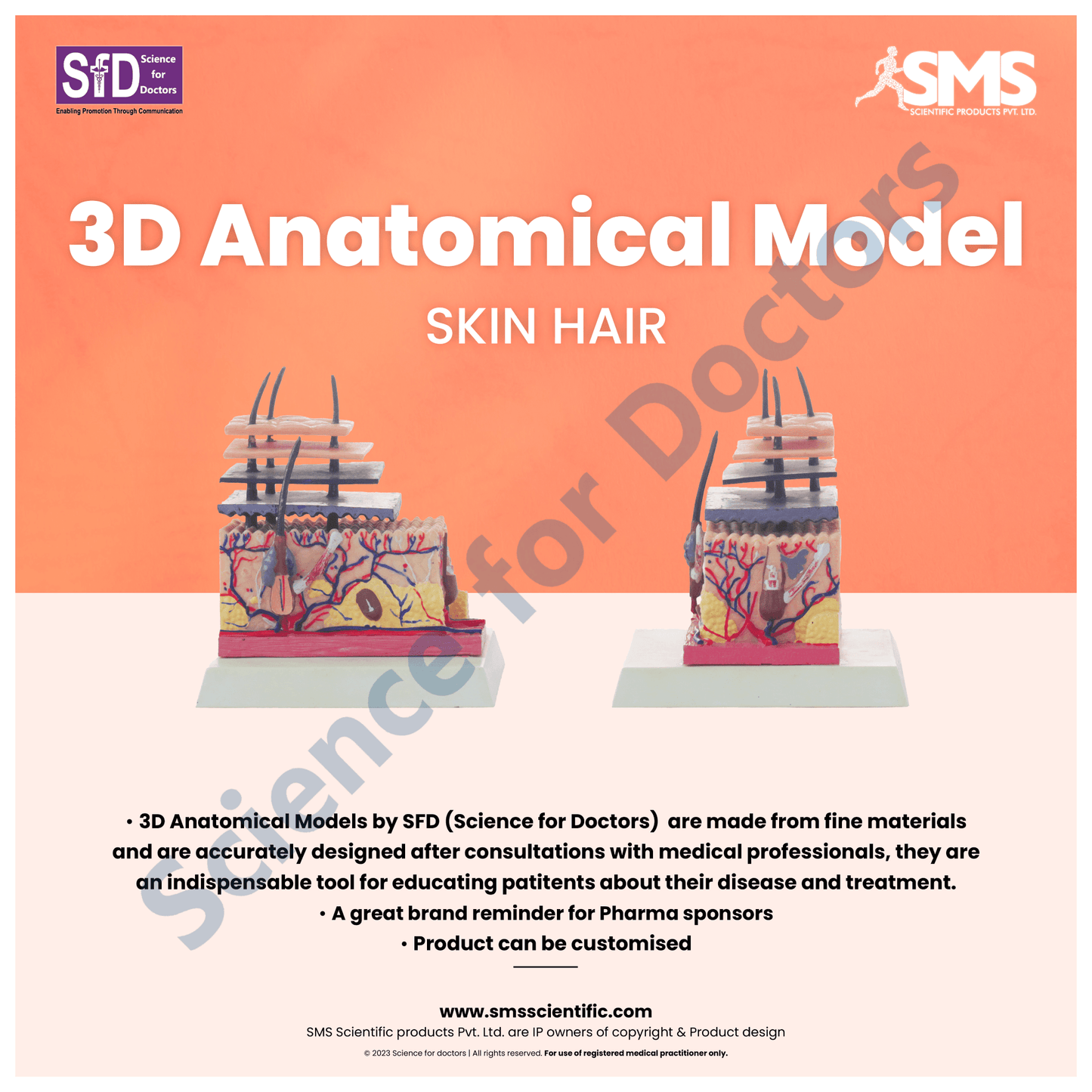 Skin Hair: 3D Anatomical Models