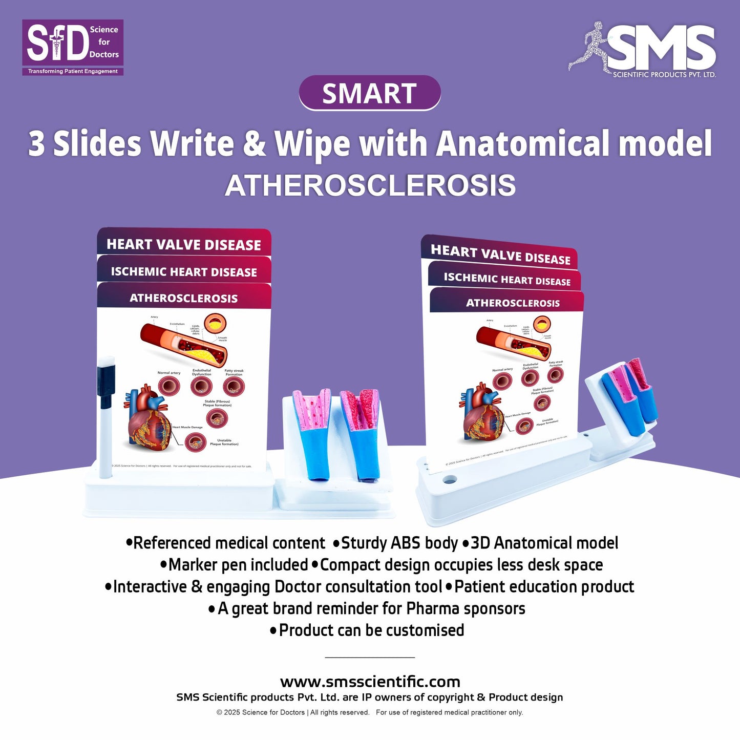 Atherosclerosis: Smart -3 Slides Write & Wipe With Anatomical Model